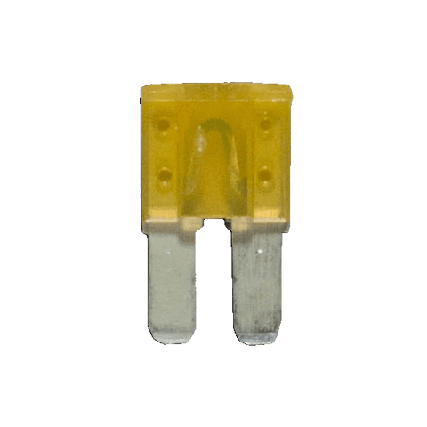 20 amp cigarette lighter fuse for Blown fuse for cigarette lighter socket ATM fuses use the same universal color 2097 - 20 AMP Micro