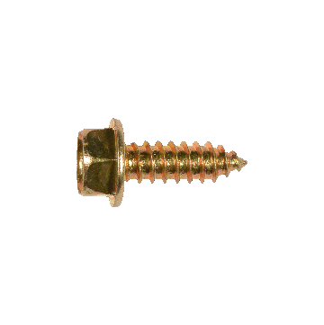 4811 - 6 x 20mm Gold Phillips License Plate Screw