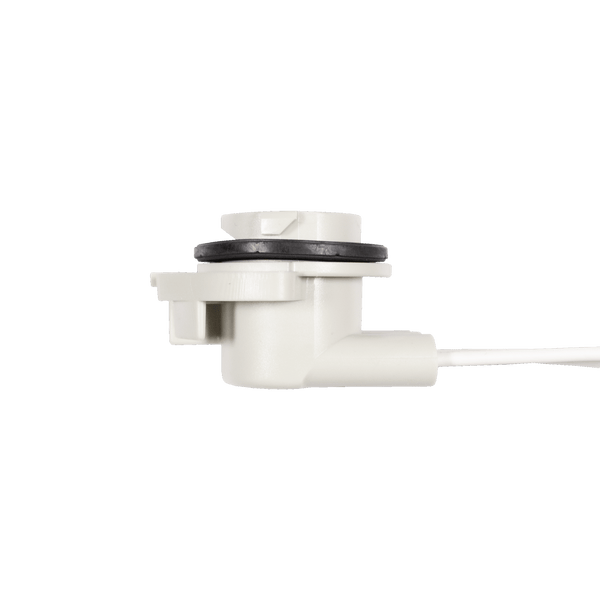 Reverse Lights On In Park Gear?: Reverse Lights Are On In Park - Foto 7